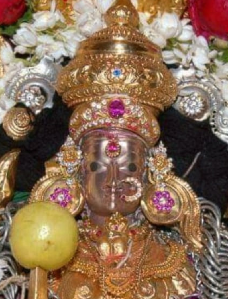 Sri Lakshmi Agro Industry - desiccated coconut powder