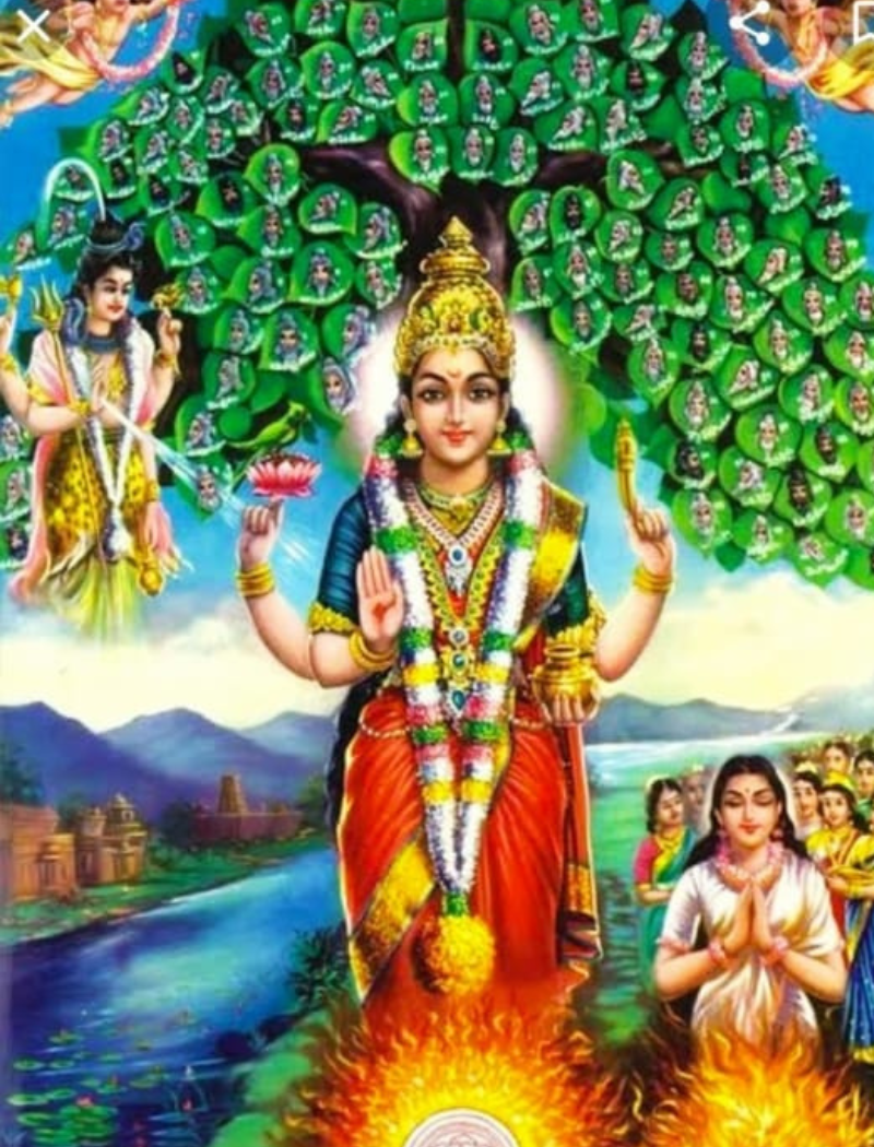 Sri Lakshmi Agro Industry - nandi aditi