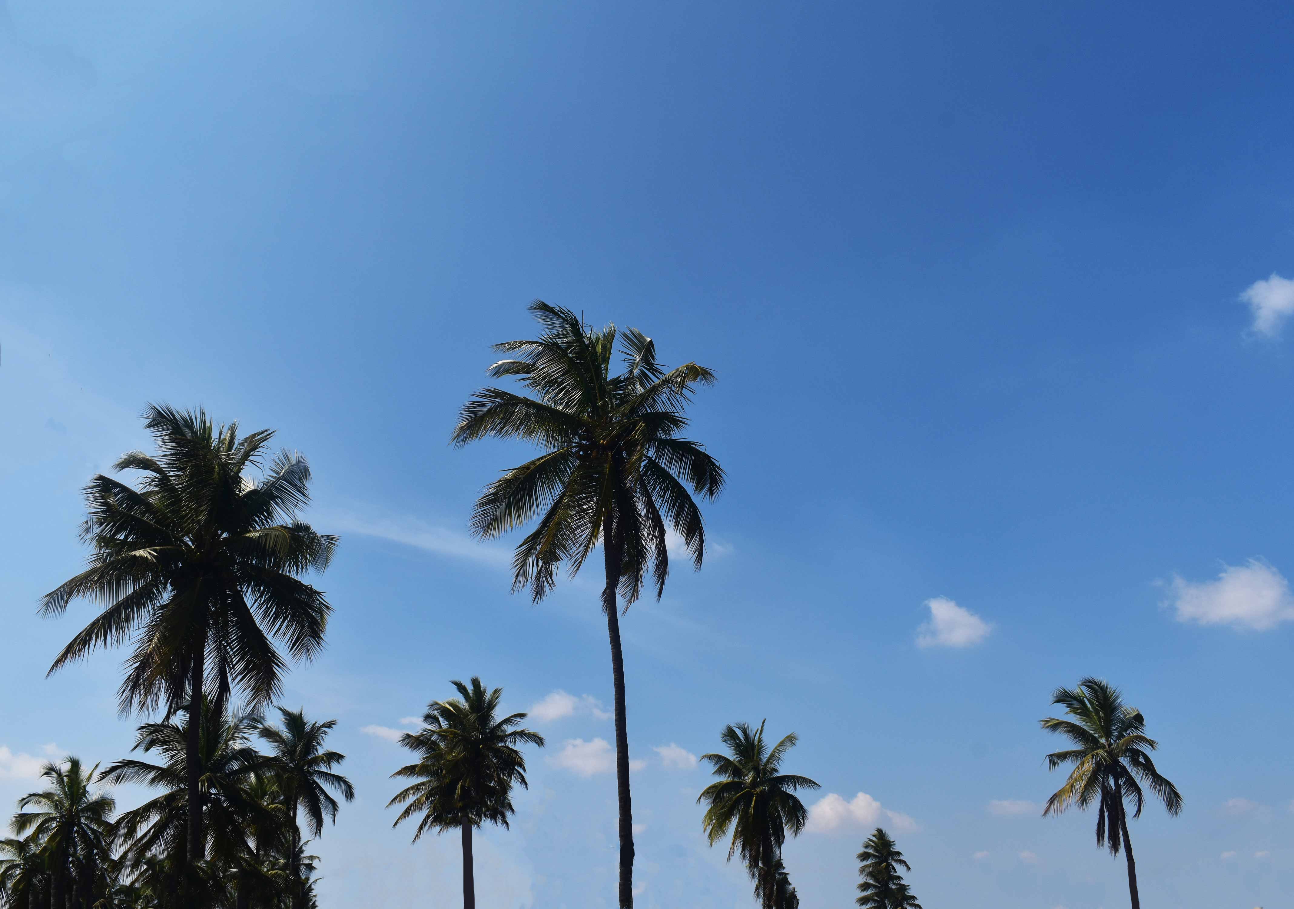 sri lakshmi agro industry main image